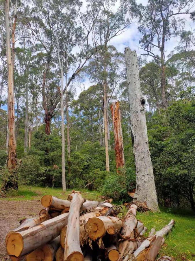 Lakes Entrance Log Cabins Exterior foto